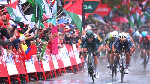 为什么选择我们